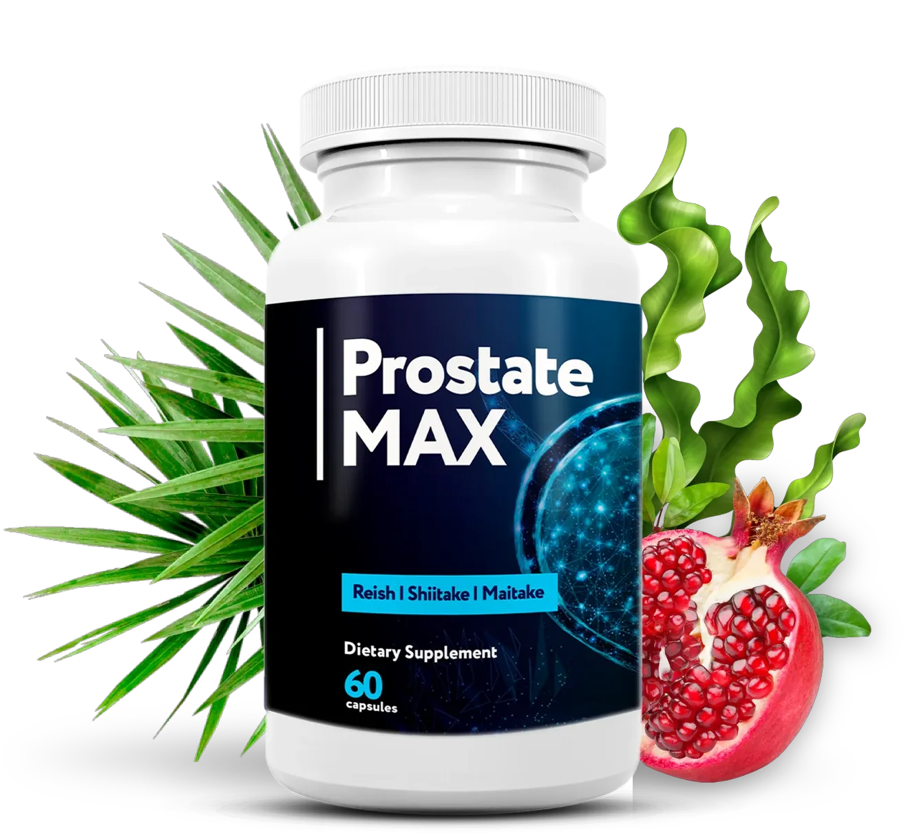 Prostate Max Ingredients