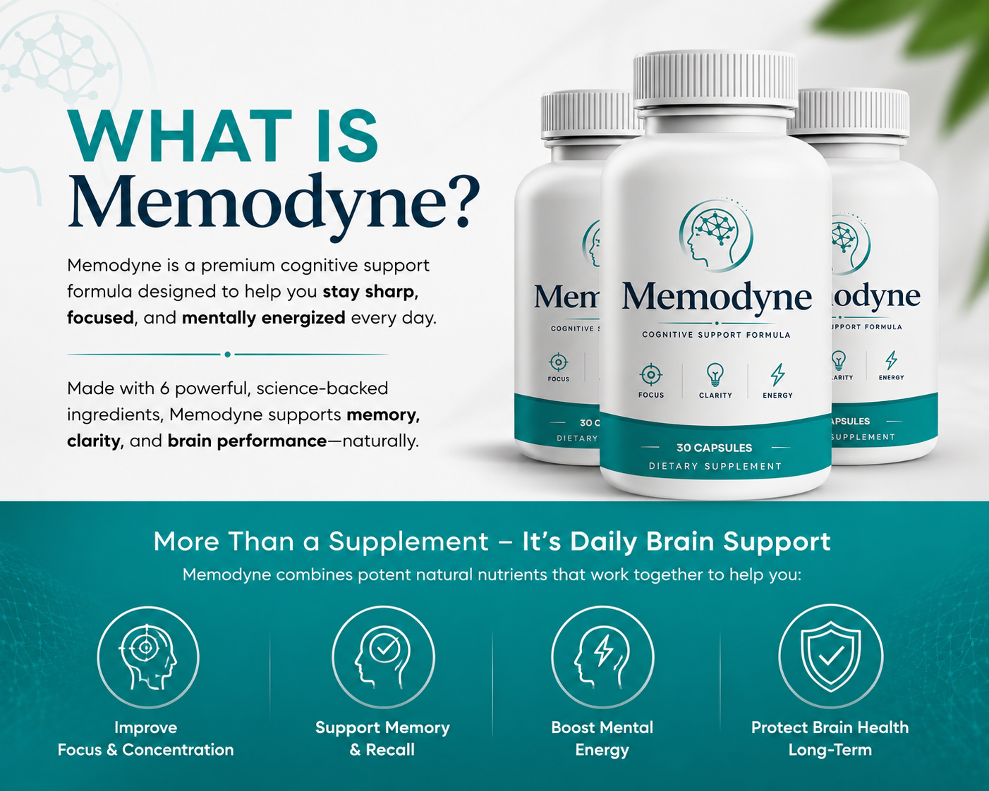 What is Memodyne cognitive support formula