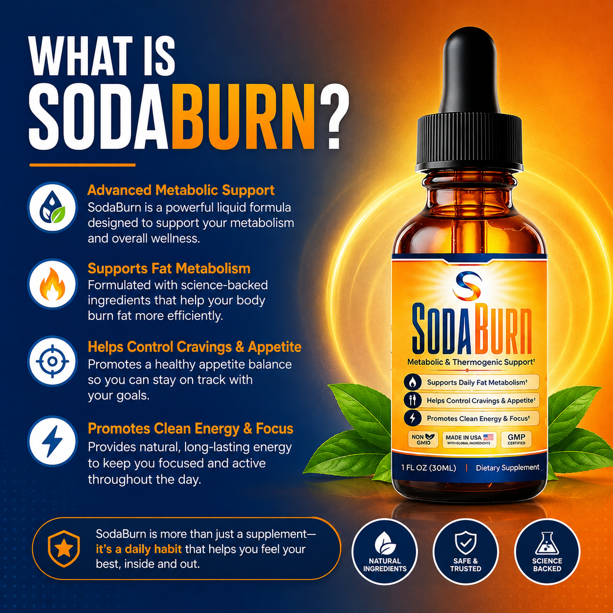 What is SodaBurn supplement
