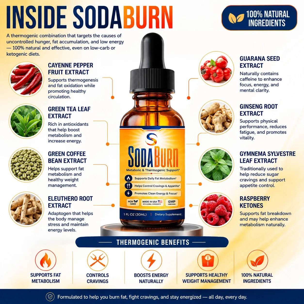 SodaBurn powerful ingredients