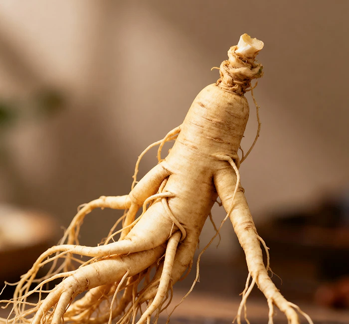 Panax Ginseng Aerial Extract